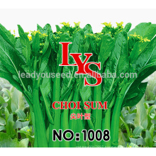 CS01 LJ 50 days early maturity green choy sum seeds for sowing